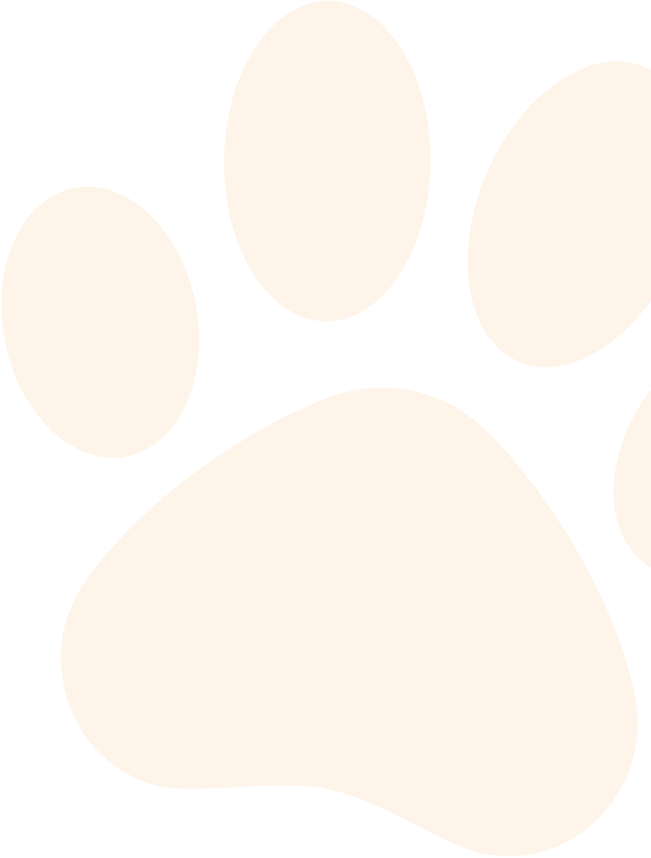 orange paw print