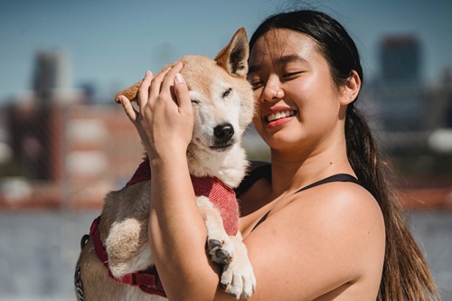 Cute puppy & girl