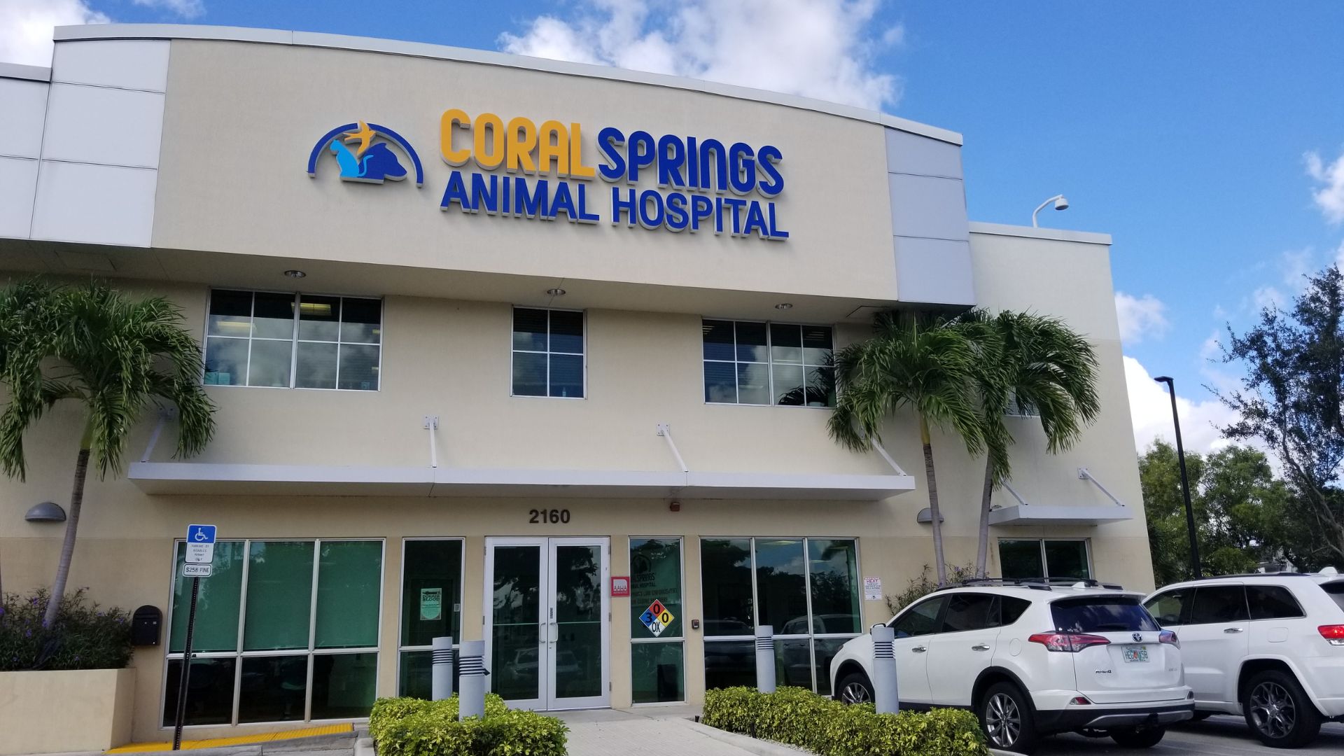 Best Veterinary Hospital In Coral Springs, FL | Coral Springs Animal  Hospital