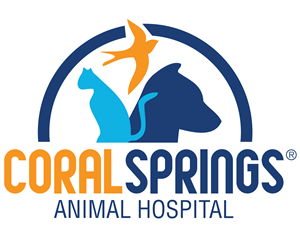 Coral Springs Animal Hospital