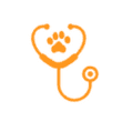 Primary Care