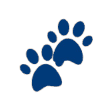 pet care benefits