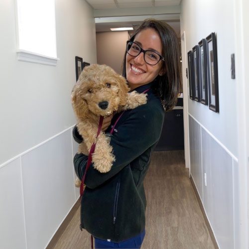 Dr. Colaretta Dr. Pam Colaretta holding a young dog