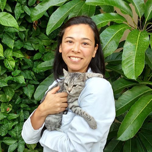Dr. Evelyn Caporali holding her cat