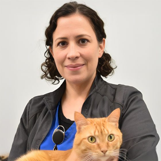 Dr. Lucia Alvarez holding her orange cat