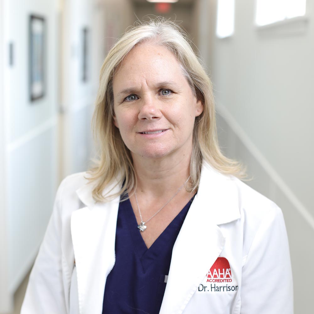Dr. Amy Harrison posing for a photo in the hallway