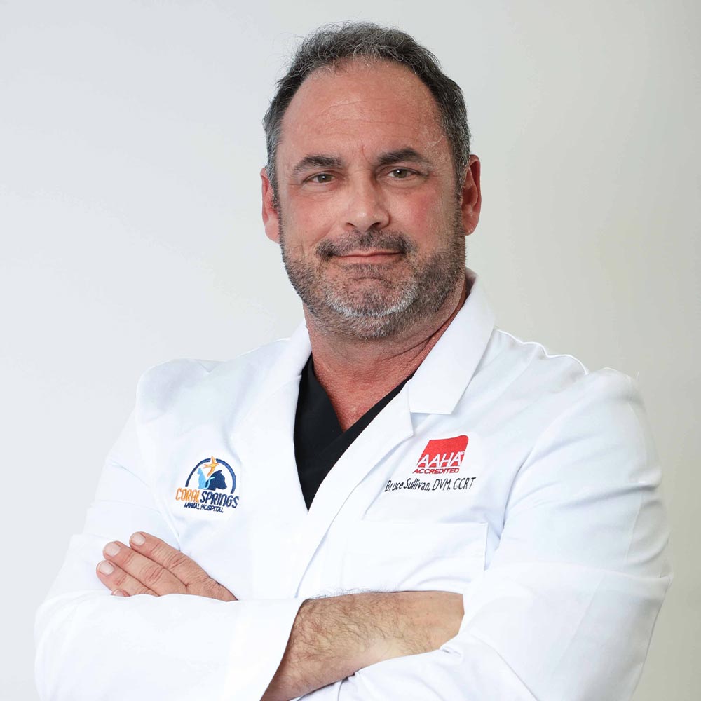 Dr. H. Bruce Sullivan, Jr. posing for a photo against a white wall