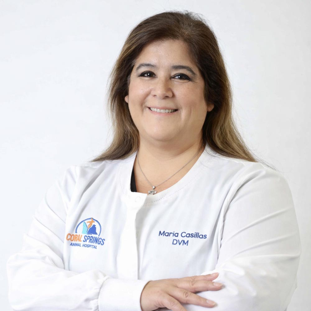 Dr Maria Casillas posing for a photo against a white wall