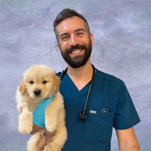 Dr Joesph Katz wearing blue scrubs and holding a puppy and smiling at the camera