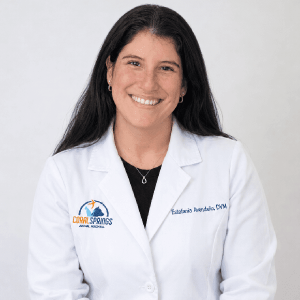 Estefania Avendaño, Dvm Square