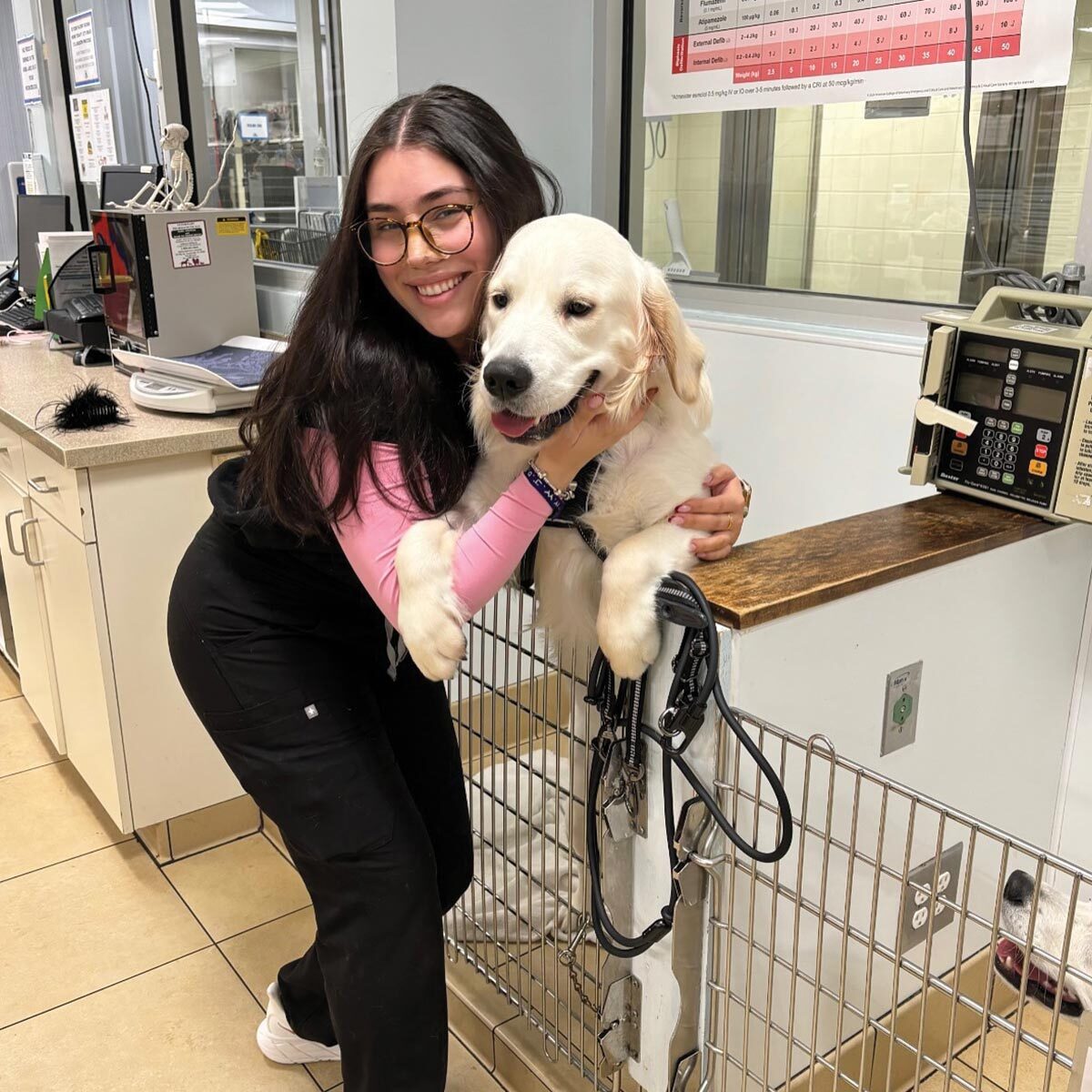 female staff member smiling while hugging golden retriever standing on hind legs