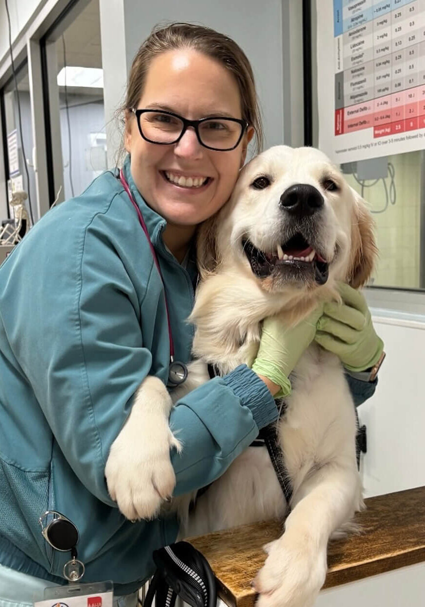 Female Vet With Happy Golden Retriever Female Vet With Happy Golden Retriever