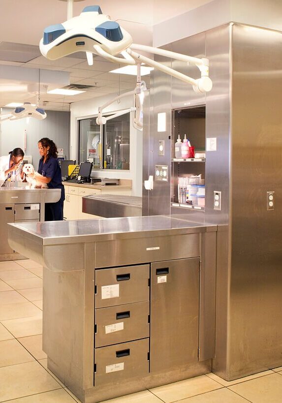 Overview Of Veterinary Icu Area Overview Of Veterinary Icu Area at coral springs animal hospital