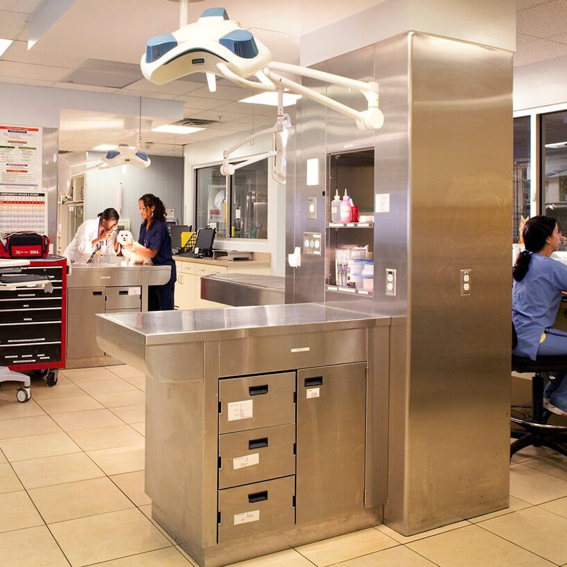 Overview Of Veterinary Icu Area Overview Of Veterinary Icu Area at coral springs animal hospital