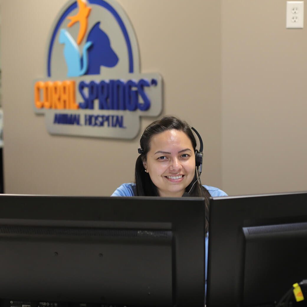 Smiling Veterinary Receptionist At Desk Smiling Veterinary Receptionist At Desk