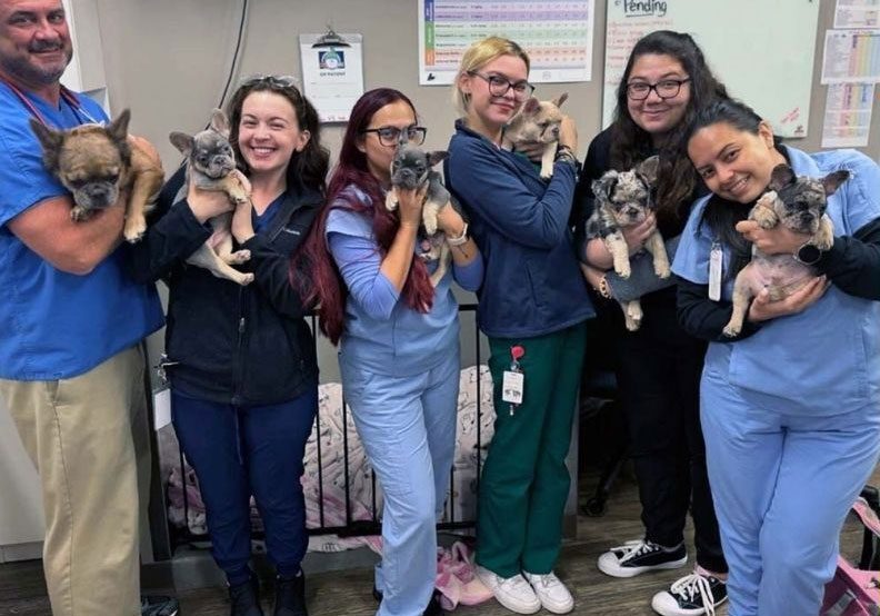 Six Team Members Holding Cat And Dogs