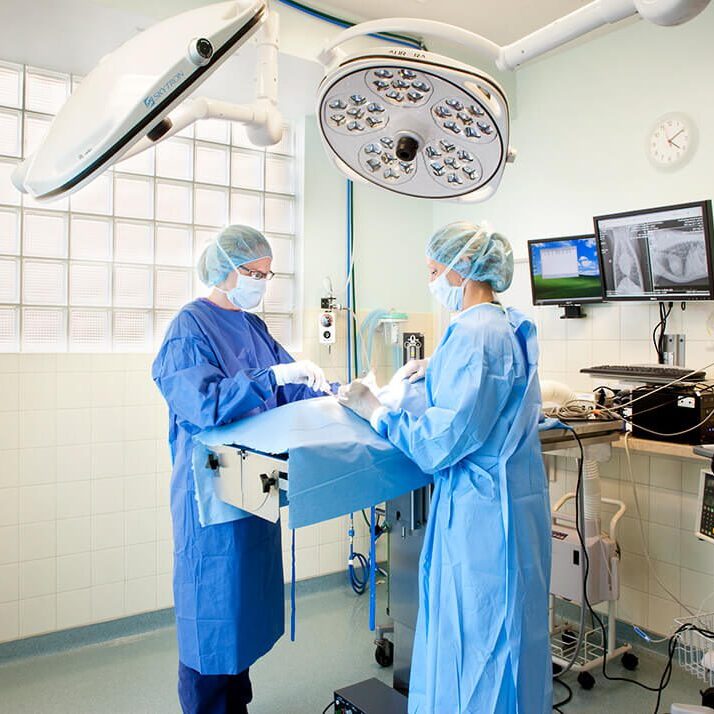 Two Vets In Speciality Surgery Suite Two Vets In Speciality Surgery Suite
